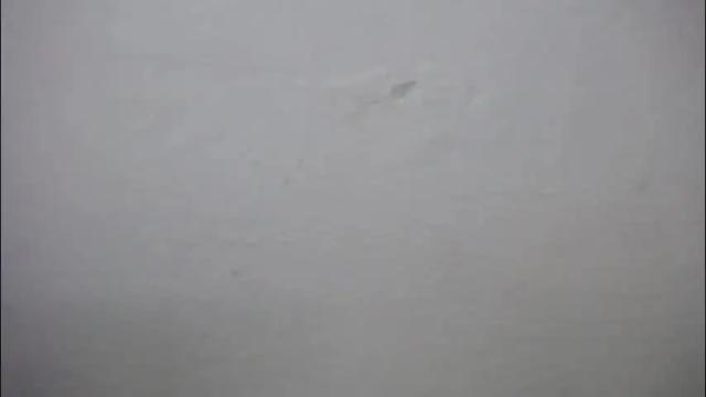 Image 2 of lisa_branch Stream on Chaturbate on 15 days ago