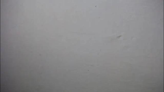 Thumbnail 1, lisa_branch's Stream at Chaturbate, 9 days ago