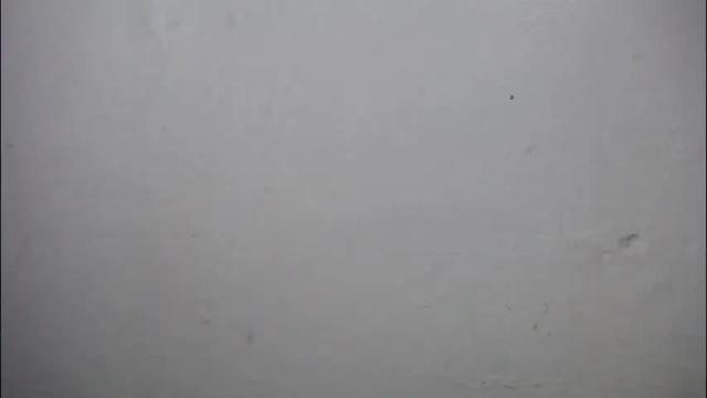 Thumbnail 1, lisa_branch's Stream at Chaturbate, 5 days ago