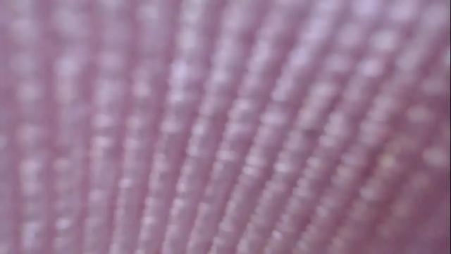 Image 3 of lisa_palacios Stream on Chaturbate on 1 month ago