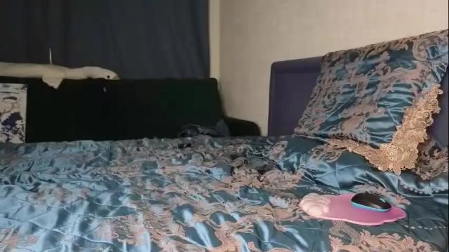 Image 11 of lisi4ka_basik33 Stream on Chaturbate on 15 days ago