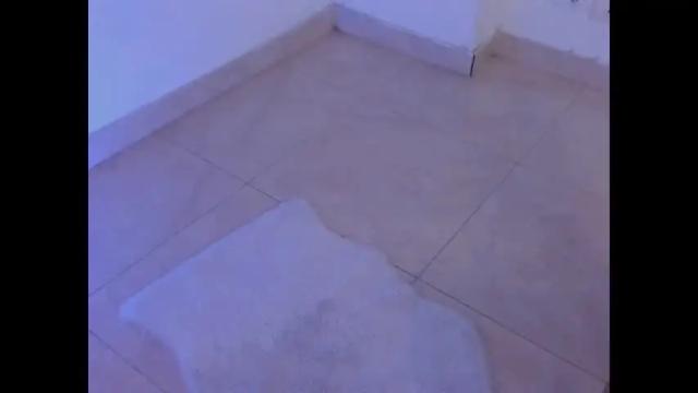 Image 4 of litlle_danni Stream on Chaturbate on 28 days ago