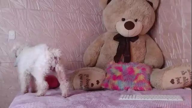 Image 6 of little_angelito2 Stream on Chaturbate on 6 months ago