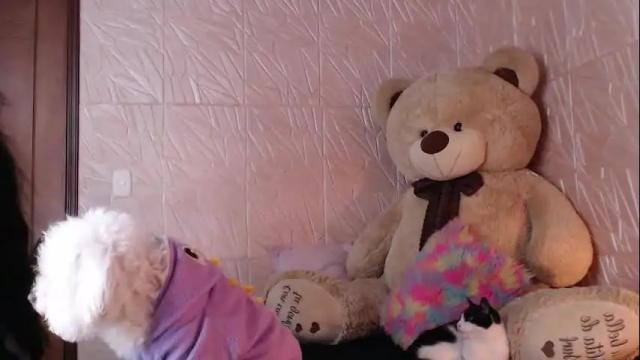 Thumbnail 2, little_angelito2's Stream at Chaturbate, 2 months ago