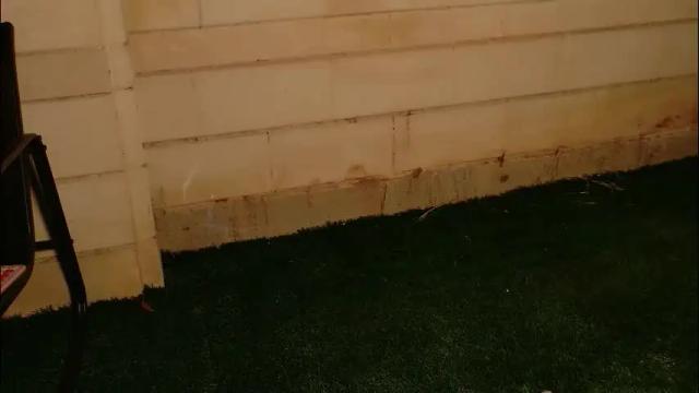 Image 2 of little_effy18_ Stream on Chaturbate on 1 month ago