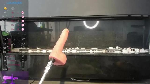 Image 4 of little_lilly1 Stream on Chaturbate on 20 months ago