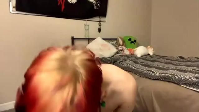 Image 12 of littleadellestar Stream on Chaturbate on 17 months ago