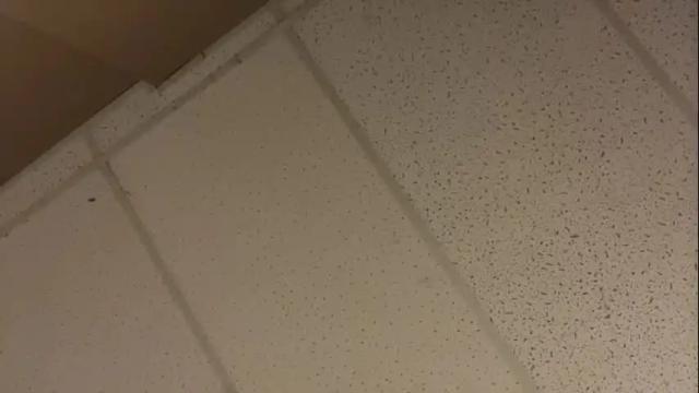 Image 10 of littledee1234 Stream on Chaturbate on 16 months ago