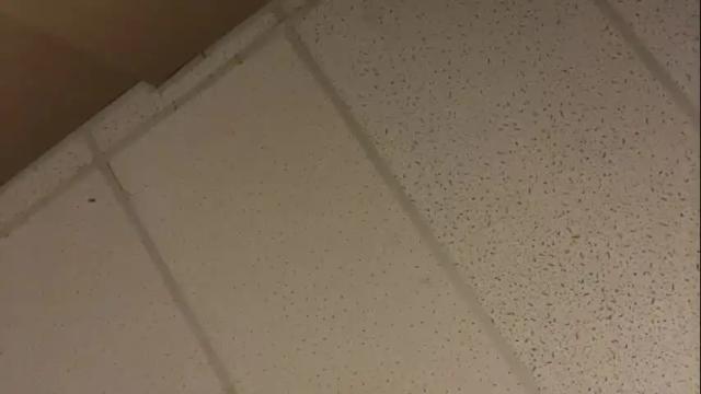 Image 11 of littledee1234 Stream on Chaturbate on 16 months ago