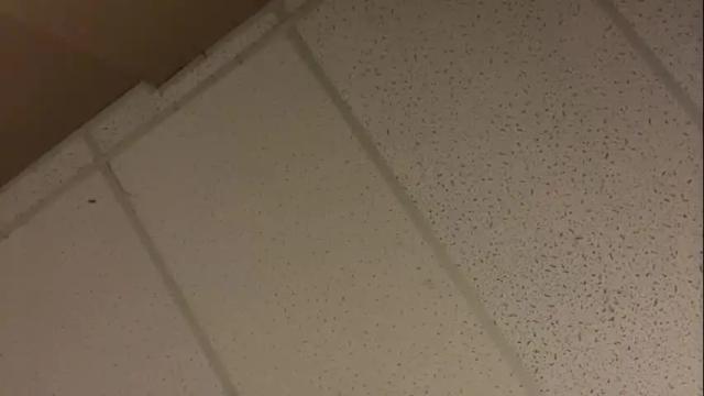 Image 12 of littledee1234 Stream on Chaturbate on 16 months ago