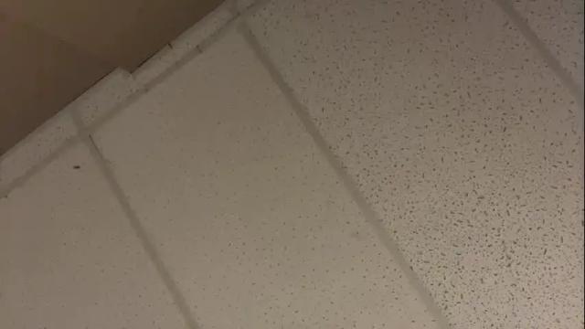 Image 4 of littledee1234 Stream on Chaturbate on 16 months ago