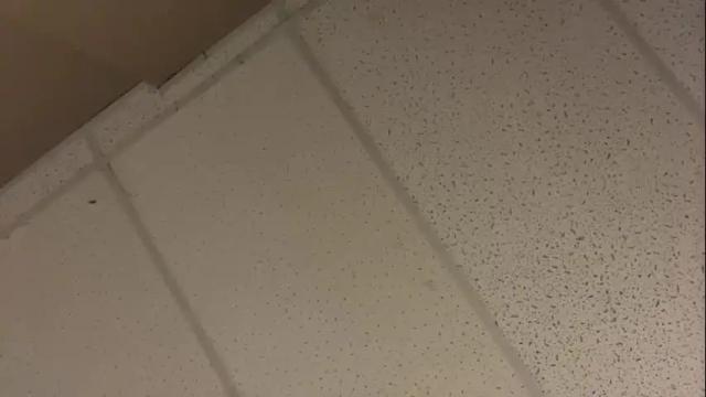 Image 6 of littledee1234 Stream on Chaturbate on 16 months ago