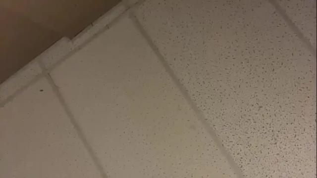 Image 7 of littledee1234 Stream on Chaturbate on 16 months ago