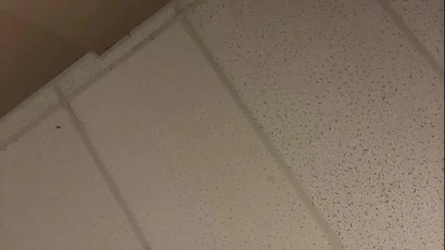 Image 8 of littledee1234 Stream on Chaturbate on 16 months ago