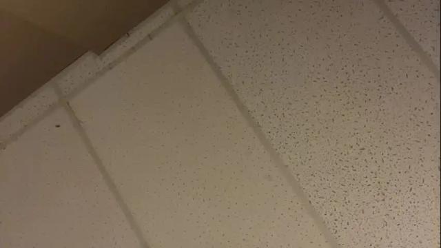 Thumbnail 3, littledee1234's Stream at Chaturbate, 16 months ago