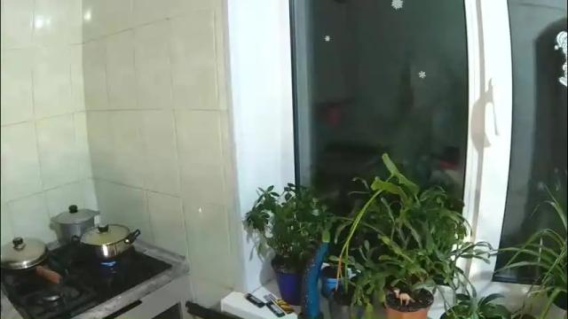 Image 2 of littlehappines Stream on Chaturbate on 17 days ago