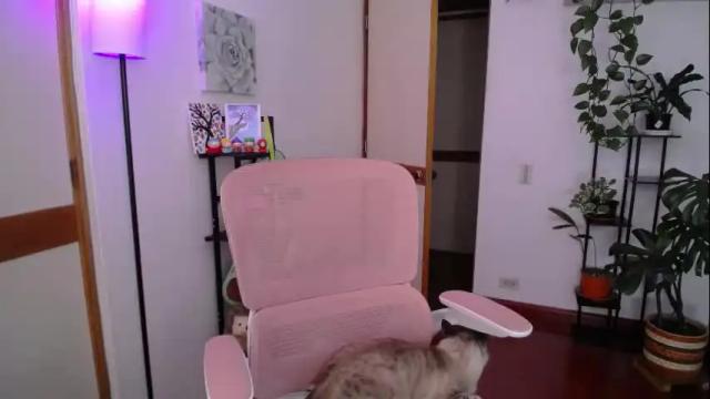 Image 2 of littlelaksmi Stream on Chaturbate on 8 days ago
