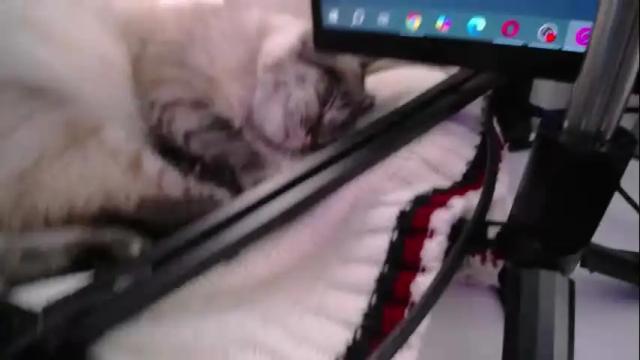 Image 6 of littlelaksmi Stream on Chaturbate on 6 days ago
