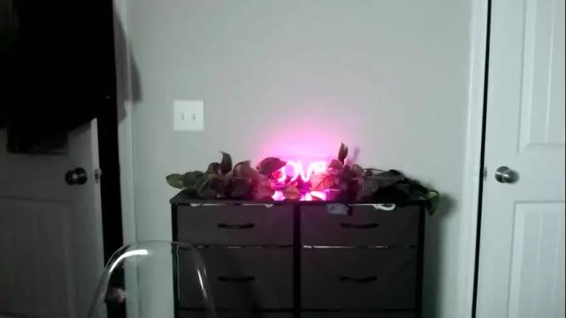 Image 4 of littlelanaxo Stream on Chaturbate on 12 months ago