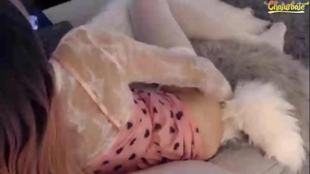 Thumbnail 2, littleonecd's Stream at Chaturbate, 13 days ago