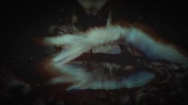 Image 12 of littlespacemouse Stream on Chaturbate on 13 months ago
