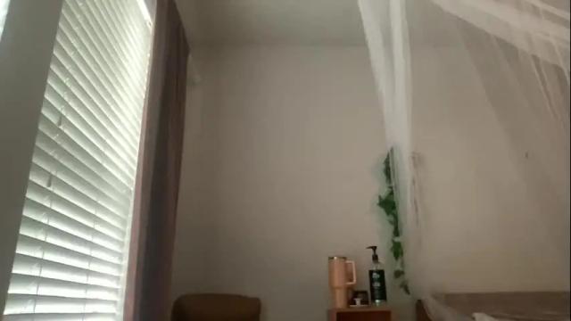 Image 11 of livelylassie Stream on Chaturbate on 5 months ago