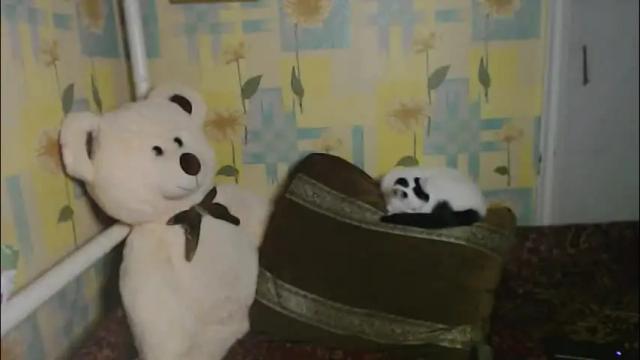 Image 10 of llevella Stream on Chaturbate on 2 months ago