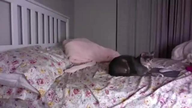 Image 12 of lolaabunnyxo Stream on Chaturbate on 16 months ago
