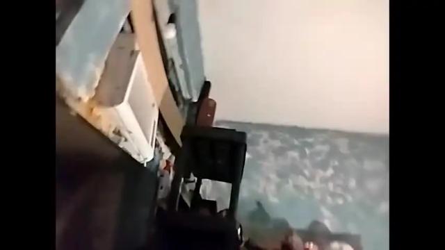 Image 2 of loony420 Stream on Chaturbate on 1 month ago