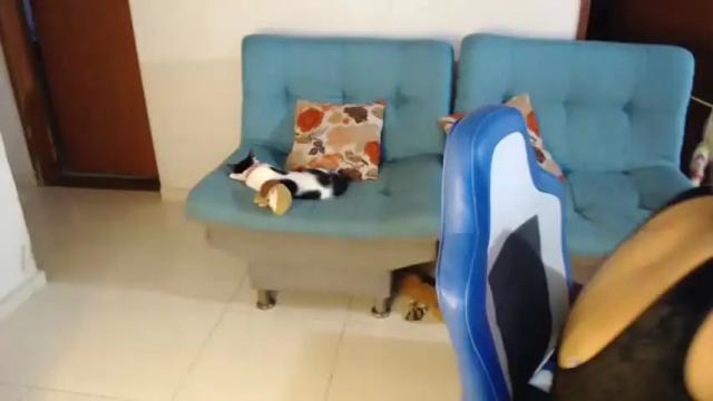 Image 7 of lore_08 Stream on Chaturbate on 24 months ago