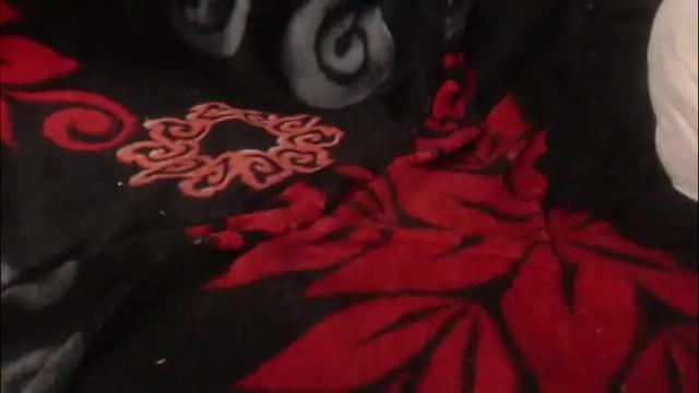 Image 3 of lorealey123 Stream on Chaturbate on 12 days ago