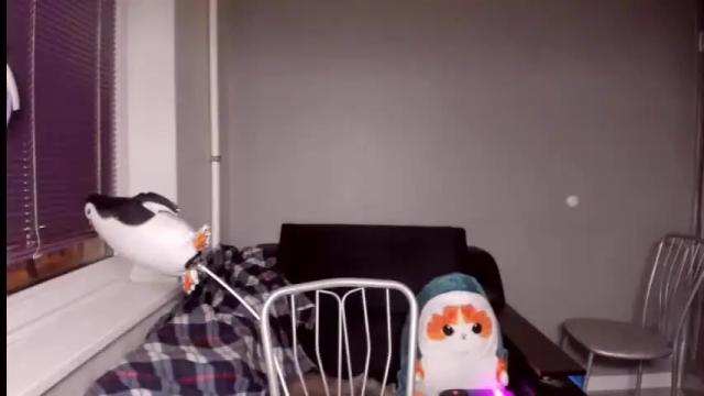 Image 11 of lorelaye_ Stream on Chaturbate on 16 months ago