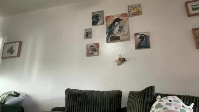 Image 6 of loserlexxx Stream on Chaturbate on 13 days ago