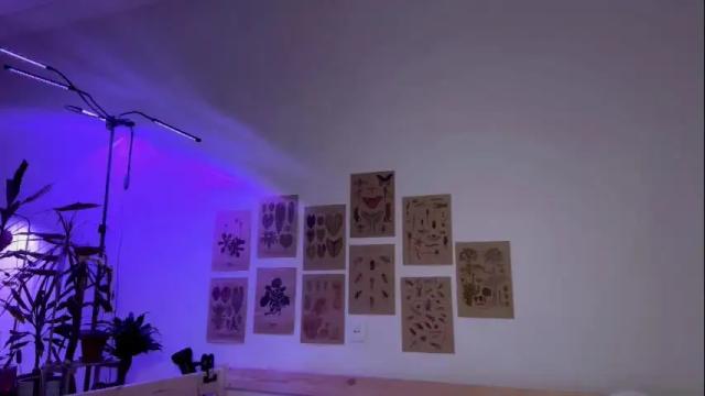 Image 4 of lovelorn_ Stream on Chaturbate on 28 days ago