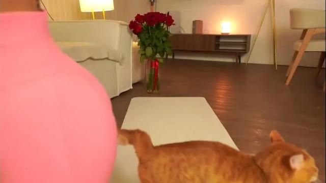 Image 2 of lovelynightt Stream on Chaturbate on 27 days ago