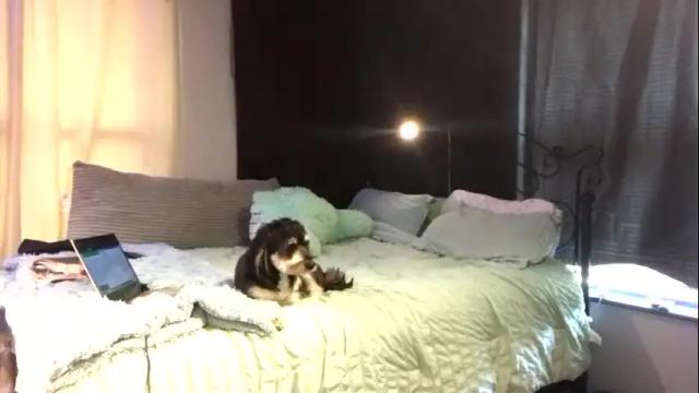Image 4 of lovelyqueenaria Stream on Chaturbate on 27 days ago