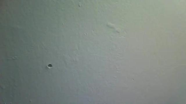 Image 11 of lovetubes101 Stream on Chaturbate on 16 months ago