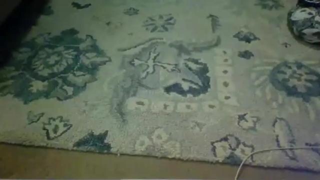 Image 11 of lovetubes101 Stream on Chaturbate on 16 months ago