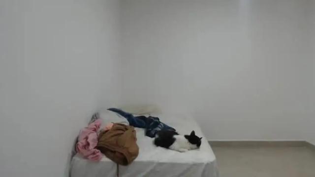 Image 11 of luciana_louiex Stream on Chaturbate on 19 months ago