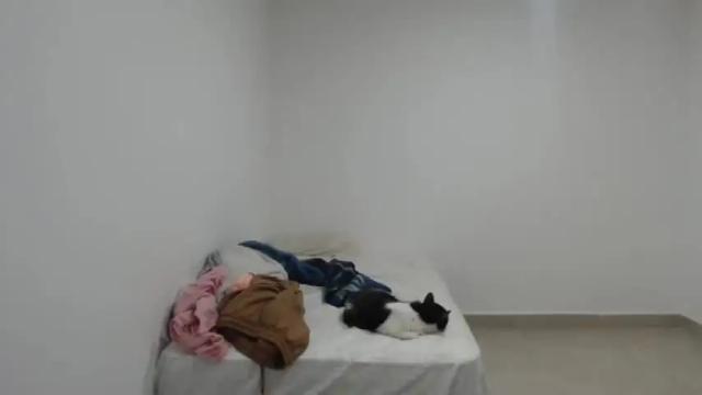 Image 12 of luciana_louiex Stream on Chaturbate on 19 months ago