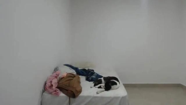 Thumbnail 3, luciana_louiex's Stream at Chaturbate, 19 months ago