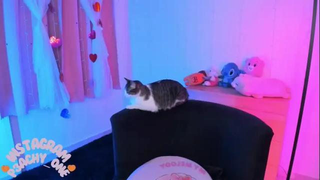Image 10 of lucyy_peach Stream on Chaturbate on 20 days ago