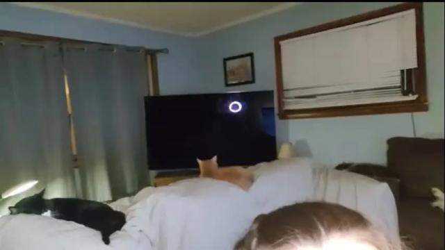 Image 2 of lukeandali23 Stream on Chaturbate on 1 month ago