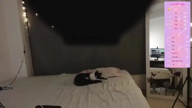 Image 11 of lulugirl_bad Stream on Chaturbate on 28 months ago