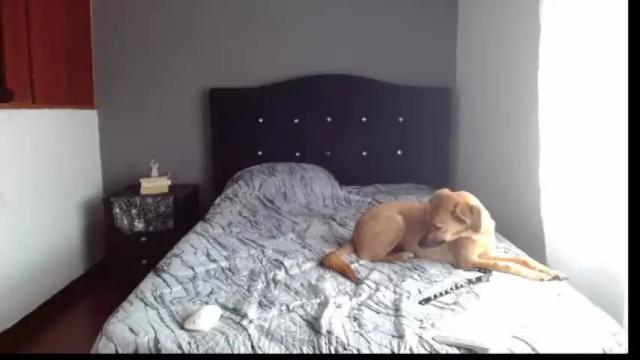 Image 6 of lunaperci Stream on Chaturbate on 13 days ago