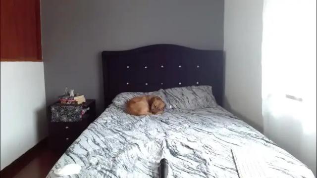 Image 4 of lunaperci Stream on Chaturbate on 5 months ago