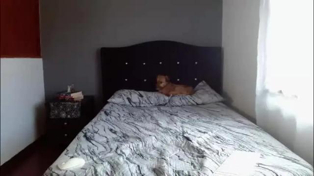 Image 12 of lunaperci Stream on Chaturbate on 5 months ago