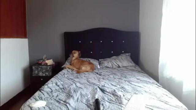 Image 6 of lunaperci Stream on Chaturbate on 5 months ago