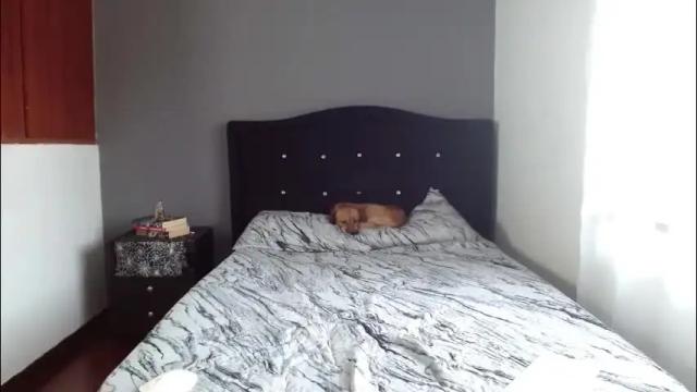 Image 6 of lunaperci Stream on Chaturbate on 4 months ago