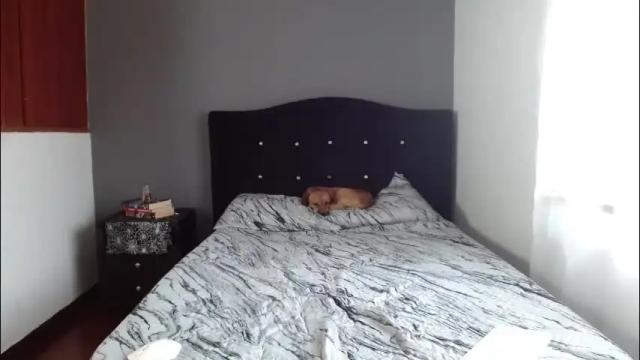 Image 7 of lunaperci Stream on Chaturbate on 4 months ago